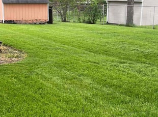 Melinda C.'s Lawn Care service result