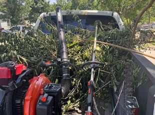 Bush Trimming by Marquion Wright for Doug u. in Kansas City, MO