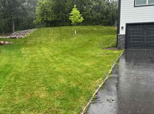 Cleanups by Wayne Walker for Faisal M. in Eden Prairie, MN