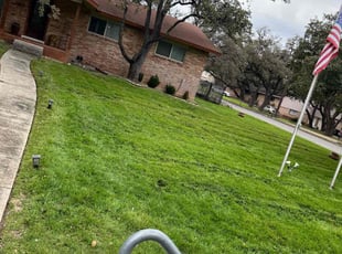 Hector P.'s Lawn Mowing service result