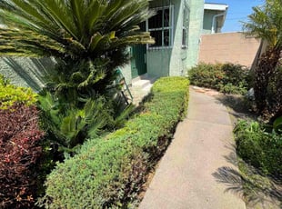Bush Trimming by Juan ArdΓ³n for Ronald H. in Los Angeles, CA