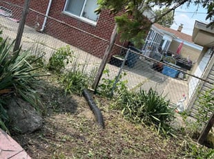 Weeding by Lakeworth Landscape for Terrell C. in Sterling Heights, MI