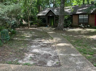 Leaf Removal by Katia Montalvo_ Coffie for Yixin L. in Tallahassee, FL