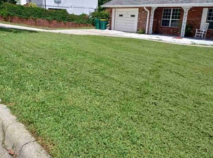 Joseph E.'s Lawn Mowing service result