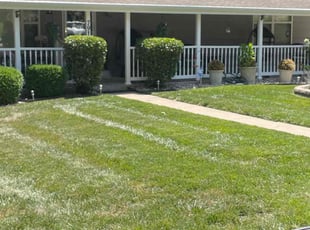 Weeding by Bo Hickmon for Glenda W. in Raytown, MO