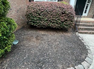 Bush Trimming by Rigoberto V ruiz for Brandon J. in Charlotte, NC