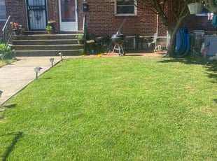 Juan Jose M.'s Lawn Maintenance service result