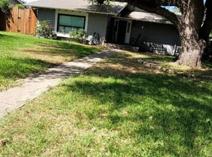 Leaf Removal by Aureliana Luciano for Estellita V. in Lewisville, TX