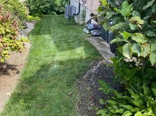 Daniel V.'s Lawn Mowing service result
