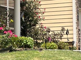 Bush Trimming by Raysho Robinson for Jackie M. in Fairburn, GA