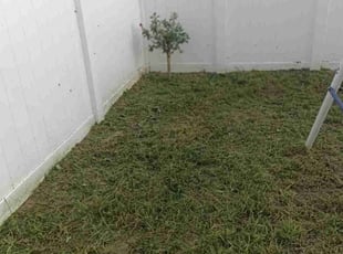 Cleanups by Leonardo Nogueras for Megan D. in Davenport, FL