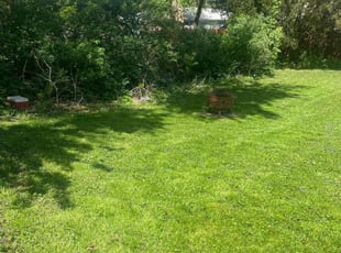 Linda J.'s Lawn Maintenance service result