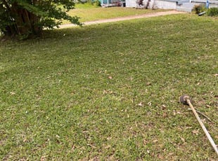 Darcie G.'s Lawn Mowing Service service result