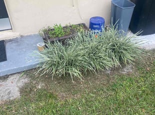 Weeding by Bruce Peterson for Danielle J. in Jacksonville, FL