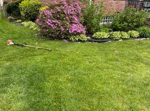 Lela G.'s Lawn Care service result