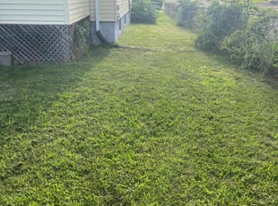 Lawrence P.'s Lawn Mowing Service service result