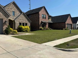 Jeremy H.'s Lawn Mowing service result