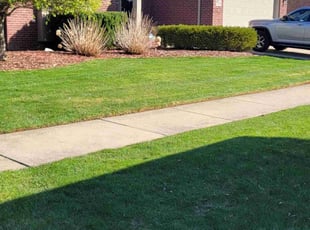 Jasmine C.'s Lawn Mowing service result