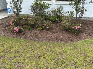 Weeding by Brandon Knight for Keirysha B. in Zachary, LA