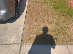 Leaf Removal by William Chavers for Corey F. in Ruskin, FL