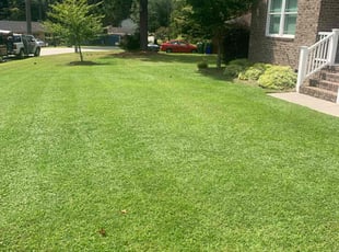 Russell A.'s Lawn Mowing service result