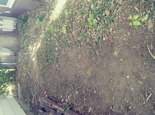 Cleanups by Marsha Fosnight for Catherine B. in Denver, CO