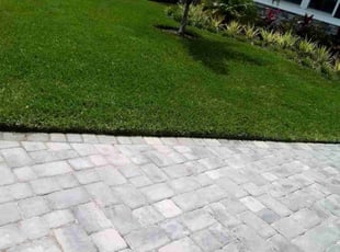 Jeniffer W.'s Grass Cutting service result