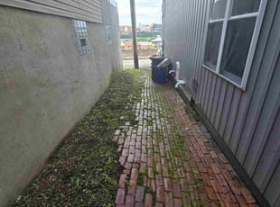 Weeding by Richard Steele for CJ B. in Pittsburgh, PA