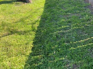 Gregory D.'s Lawn Service service result