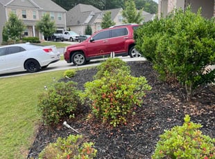 Weeding by Milton Rodriguez for Monie H. in Dallas, GA