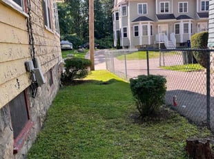 Bush Trimming by Randy Regis for Shelita B. in Boston, MA