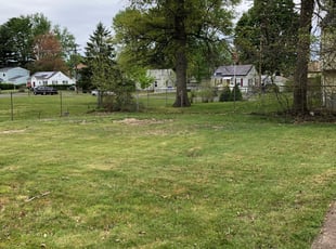 Leaf Removal by Chris Wimler for Dominic A. in East Hartford, CT