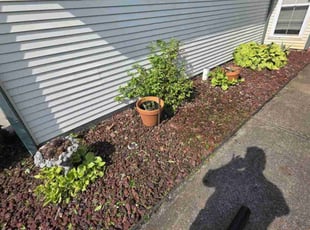 Weeding by Devin Kemp for Kenneth D. in Murrells Inlet, SC