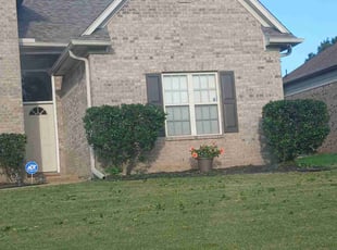 Bush Trimming by Bryan Myrick for Jasmine T. in Olive Branch, MS
