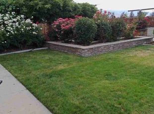 Bush Trimming by Mia Berta for Stephanie S. in Reno, NV