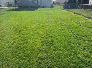 Sarah P.'s Lawn Service service result