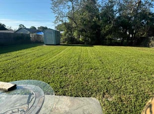 Mindy P.'s Lawn Service service result