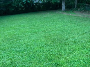 Thomas G.'s Lawn Service service result