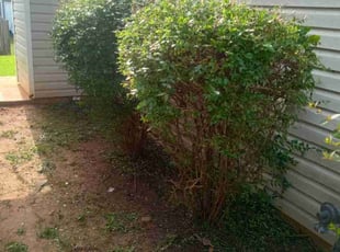 Bush Trimming by John Blocker for Keshia F. in Stockbridge, GA