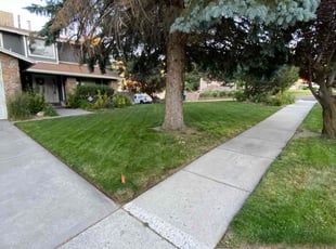 Teresa T.'s Lawn Mowing Service service result