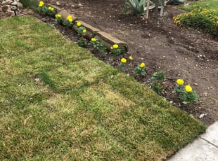 Landscaping by Terrell Cade for Wendy C. in Fontana, CA