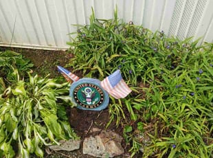 Weeding by Bryan Crowder for Paul F. in Newark, DE