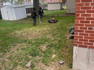 Leaf Removal by Clarence Brown for Jessica W. in St. Louis, MO