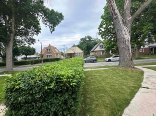 Bush Trimming by Bryan Berg for Derick D. in Milwaukee, WI
