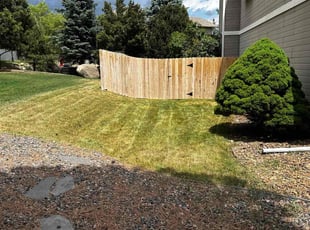 Tracy N.'s Lawn Care service result