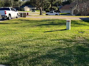 Carlos R.'s Lawn Mowing Service service result