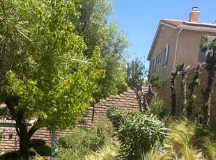 Bush Trimming by Jose Olivares for Sue J. in Palmdale, CA