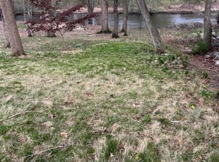 Leaf Removal by Matthew Clouse for Zach H. in Concord, MA