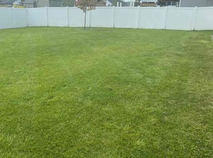 Beth A.'s Lawn Mowing service result