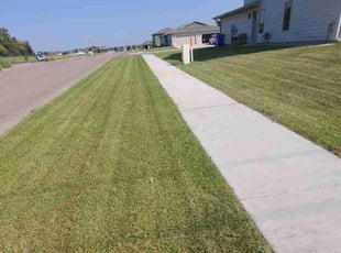 Lionel H.'s Lawn Mowing service result
